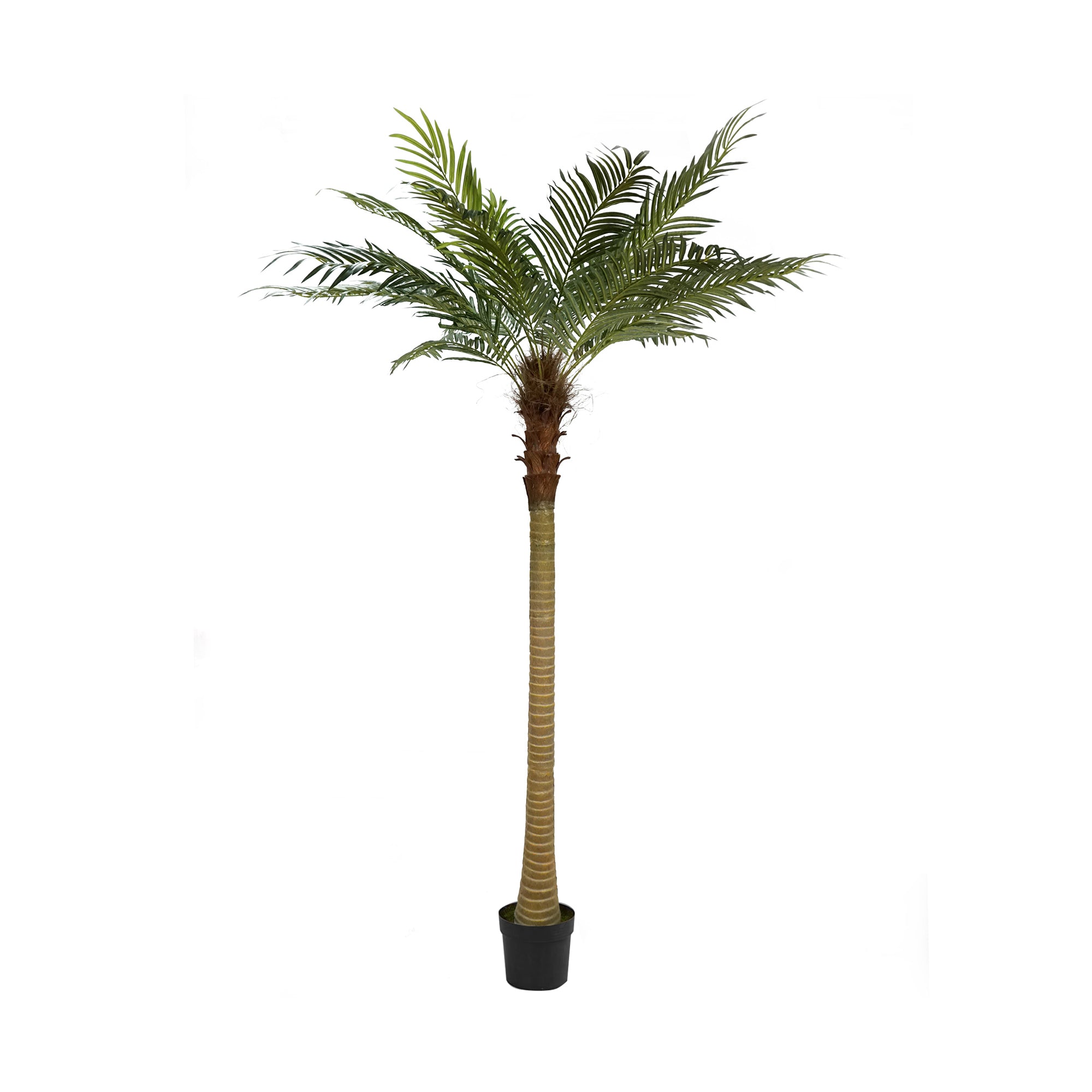 Giant Faux Palm Tree 10ft